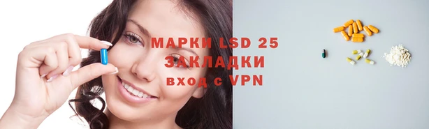 стаф Михайловск
