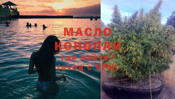 твердый Мегион